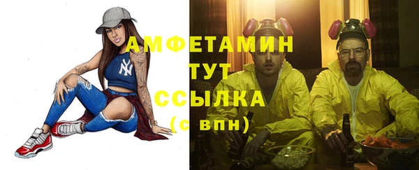 ешки Аркадак