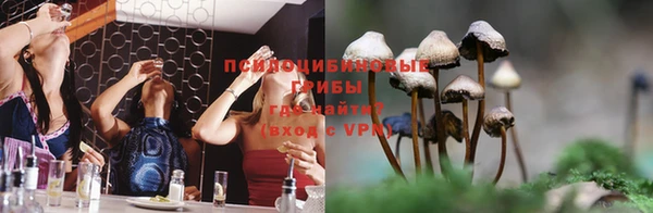 твердый Армянск