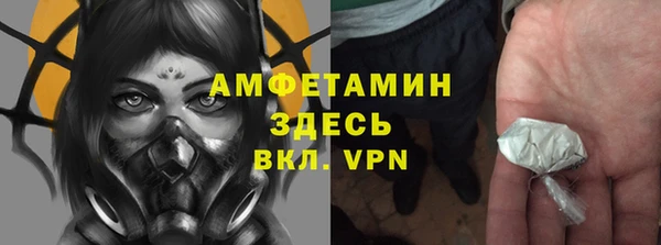 ешки Аркадак