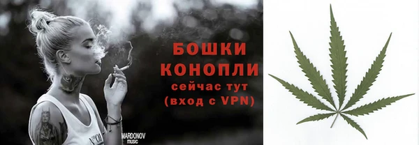 ешки Аркадак