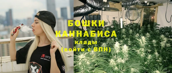 ешки Аркадак