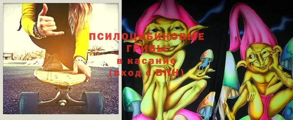 прущие грибы Арсеньев